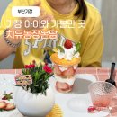 (주)부산팜 | 부산 기장아이랑 가볼만한곳 치유농장 온담 어린이정원사 체험 후기