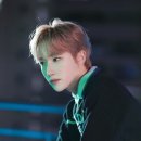 히얼퍼피 이미지