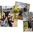 완주특공무술 이미지