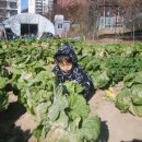 욱이농장 이미지