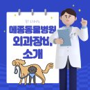 메종동물병원 이미지