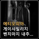 에티오피아 게이샤빌리지 벤치마지 내추럴 G1 커피원두 특징과 로스팅·추출 가이드 이미지