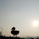 생오리마당 이미지
