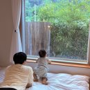 충청도 풀빌라 독채 풍월주인 아기랑 온수풀 자쿠지 이용후기 내돈내산