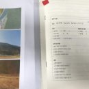 이세정 이미지