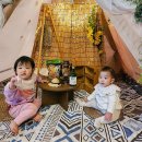 애견의숲 이미지