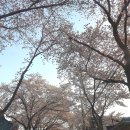 제천 청풍면 저렴한 숙소 청풍민박