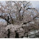 덕진구청 이미지