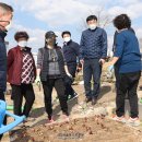 친환경나눔텃밭 이미지