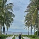 은비치농장 | [나트랑 퓨전리조트 깜란]조식 스파예약 헬스장 수영장