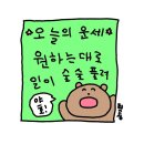 그린프룻 | [편의점] GS25 사전예약 그린박스 프룻앤샐러드 후기