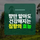 향만 이미지