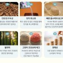 센스티브
