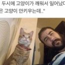 새벽두시 이미지