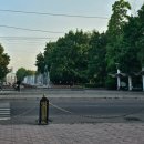 가로수길 이미지