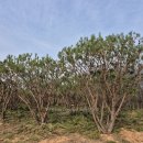 반송농장 이미지