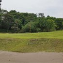 신명골프 이미지