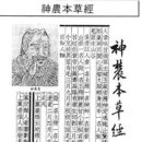 고려산삼 이미지