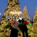 낙조보러가는길 | 빌라쥬드아난티에 크리스마스 트리보러가요! (주차장, 가는길, 솔직후기, 꿀팁)