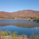 양지리 마을회관 앞 이미지