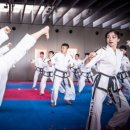 영화태권도체육관 이미지