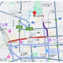 일본 여행 : 나고야 가볼만한곳 나고야성 벚꽃 명소