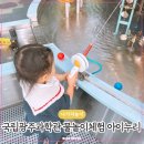 국립광주과학관 아이누리 물놀이 체험 실내 유아 놀이터 후기