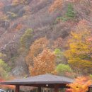 지리산 달궁오토캠핑장