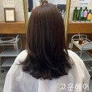 고운헤어 이미지