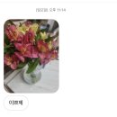 예양꼬치 이미지