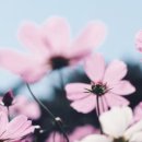 예쁜물건가게 이미지