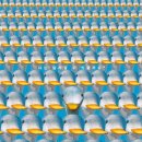 제8회 광주여성영화제 이미지