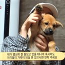 인혜농장 이미지