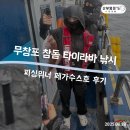 열린펜션 | 다시 도전한 참돔 타이라바 낚시_ 무창포항 피싱위너 페가수스호 후기, 야경펜션 추천!
