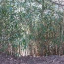 수목원 입구 이미지