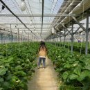 해천농장 이미지