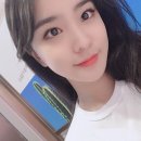 요요요 Daum카페
