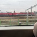 간선-22 | 목포보성선 개통, 22개월 아기와 첫 기차 여행! 엄마...기차 타본 생생 후기 + 꿀팁 정리 (기차 시간표...