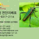 반달미술교습소