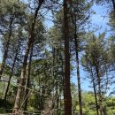 유아숲체험원(제3호) 이미지