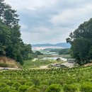 지수목장 이미지