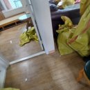 영인농장 이미지