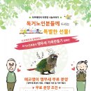 리프패럿대구