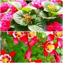 부천자연생태공원 이미지