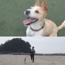 챔피언농장 이미지