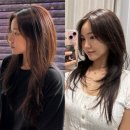 태희가머리하는곳 | 광주 첨단미용실 추천 | 데이즈헤어 첨단점에서 염색 + 클리닉 + 하이 레이어드 컷 후기
