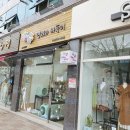 영희와바둑이 애견미용샵 이미지