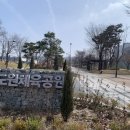 도원돼지국밥 이미지