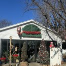 더가드너 | 의왕 더가드너 카페 후기｜인스타 크리스마스카페로 핫한 이유