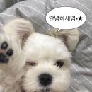 유원유치원 | 더워지지 마.